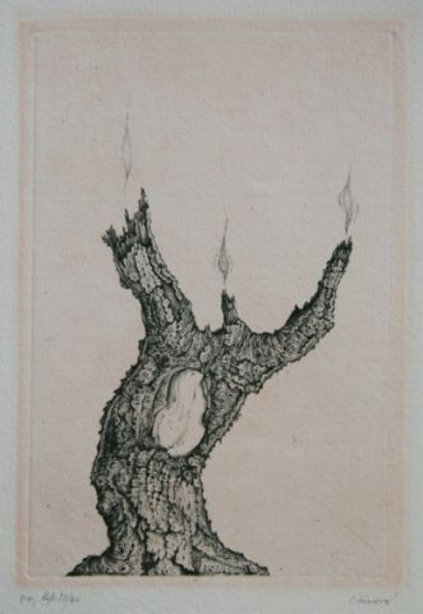 Suchý strom - svícen