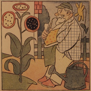 Kalamajka (Zahradník)